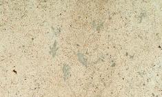 Rocheville Doré - adouci